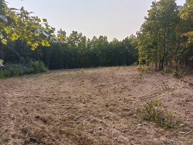 000 Whitacre Run, Eminence, MO 65466 - Image #3