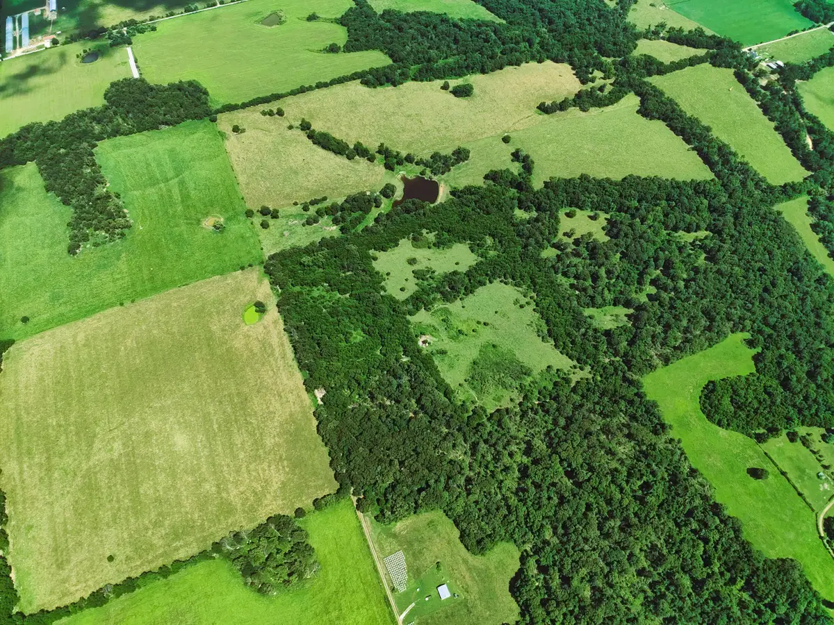 000 Oliver Ln, Stark City, MO 64866 - Image #1