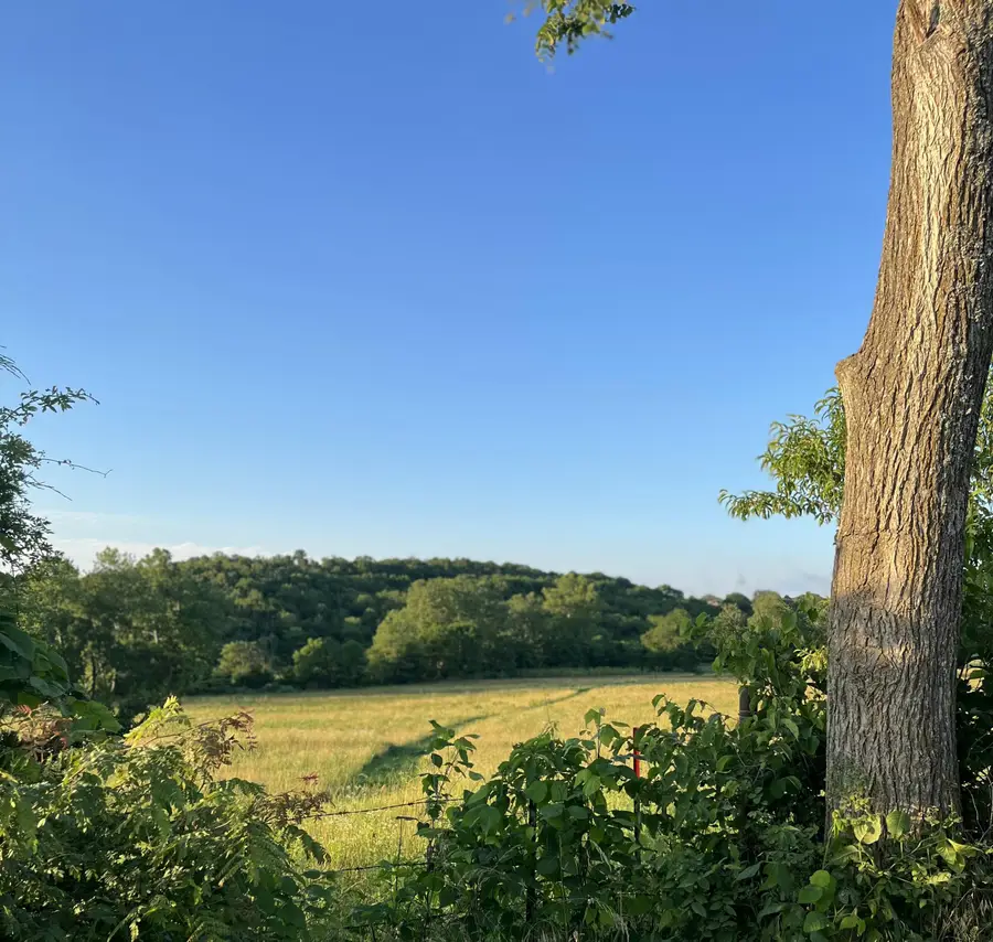 4811 Hwy Mm, Mountain Grove, MO 65711 - Image #2