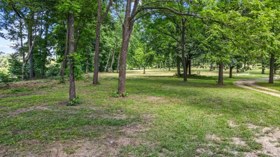 000 Blue Ribbon #Lots 12 & 13, Pottersville, MO 65790 - Image #3