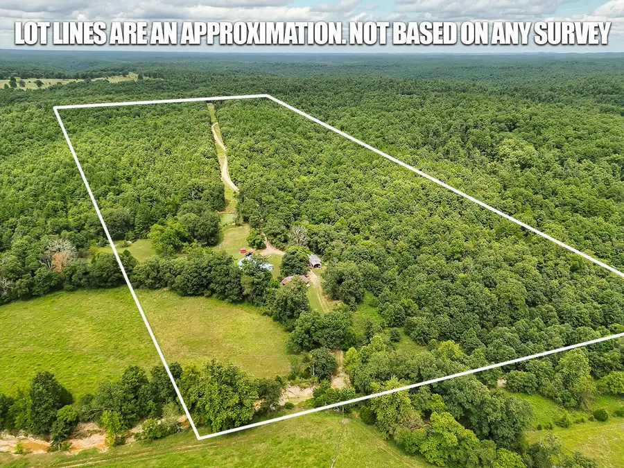 10295 County Road 458a, Birch Tree, MO 65438 - Image #3