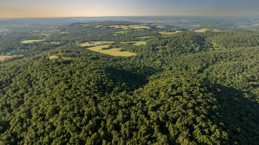 000 Farm Road 1190, Aurora, MO 65605 - Image #2