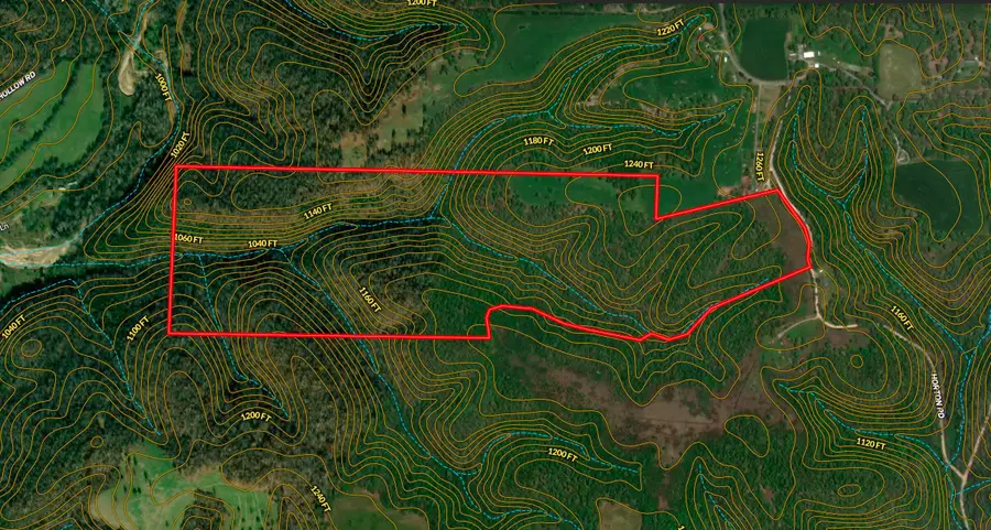 000 Horton Road, Rocky Comfort, MO 64861 - Image #3