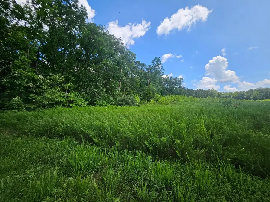 000 Dogwood Lane, Joplin, MO 64801 - Image #2