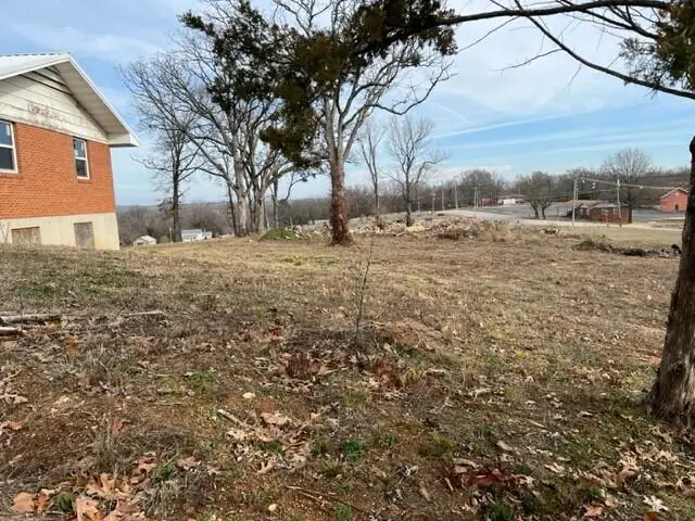 620 Johnson Street, West Plains, MO 65775 - Image #3