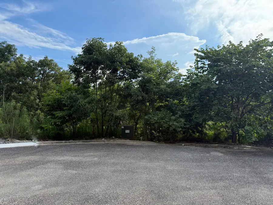 347 Lake Cove Circle, Hollister, MO 65672 - Image #3