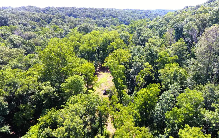 000 Wilderness Way, Anderson, MO 64831 - Image #2