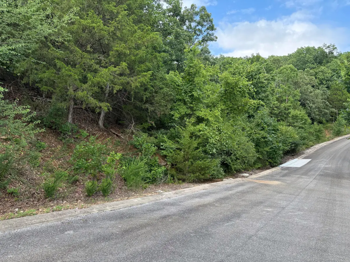 296 Emerald Isle Drive, Hollister, MO 65672 - Image #1