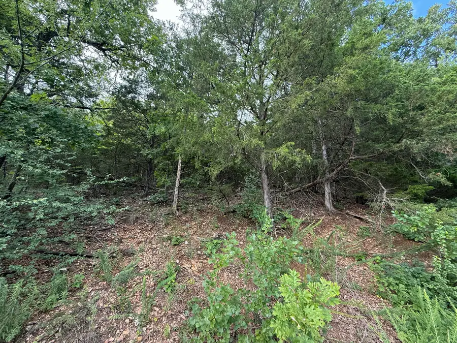 296 Emerald Isle Drive, Hollister, MO 65672 - Image #2