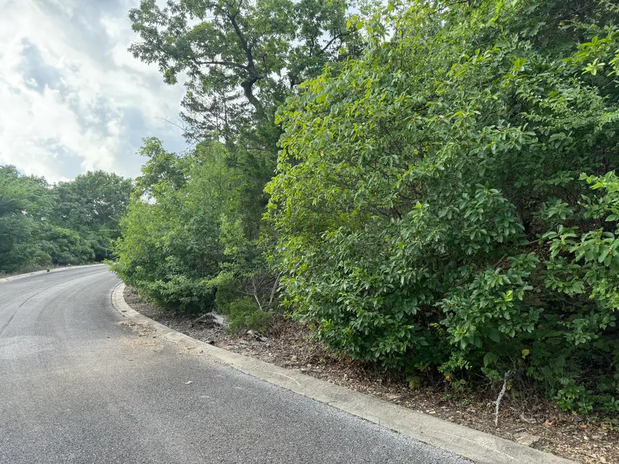 296 Emerald Isle Drive, Hollister, MO 65672 - Image #3