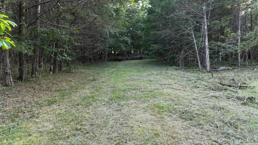 000 East Mockingbird Drive, Golden, MO 65658 - Image #2