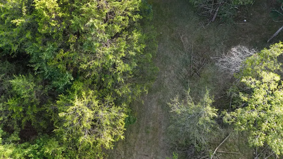 000 East Mockingbird Drive, Golden, MO 65658 - Image #3