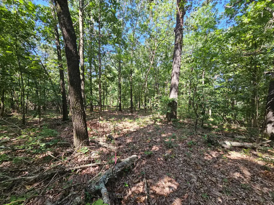 65 Acres Plainview Road, Anderson, MO 64831 - Image #2