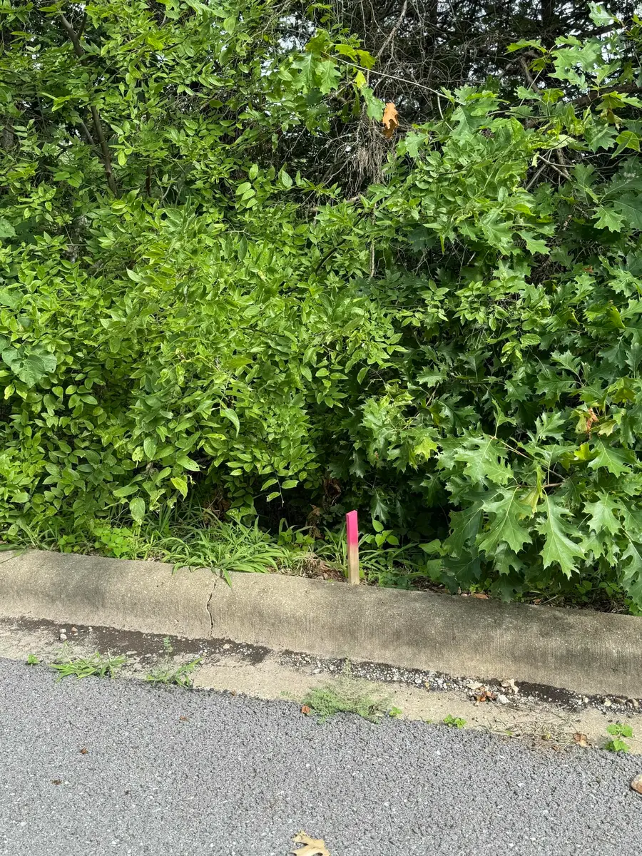 280 Samara Way, Hollister, MO 65672 - Image #3