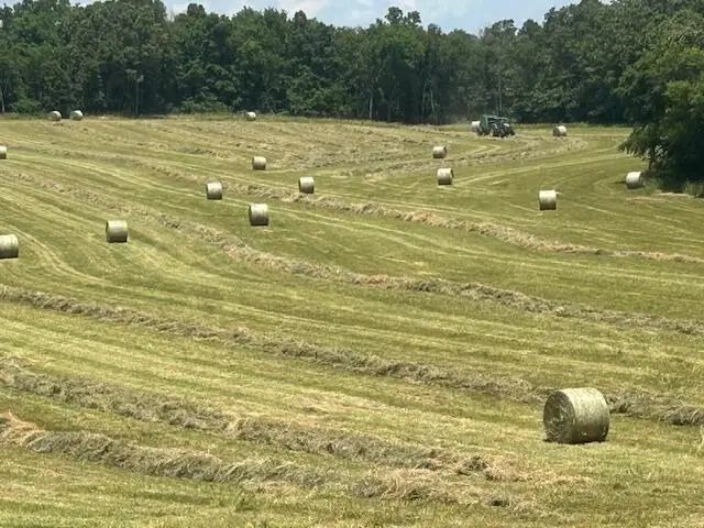 15620 County Road Ww-a, Summersville, MO 65571 - Image #1