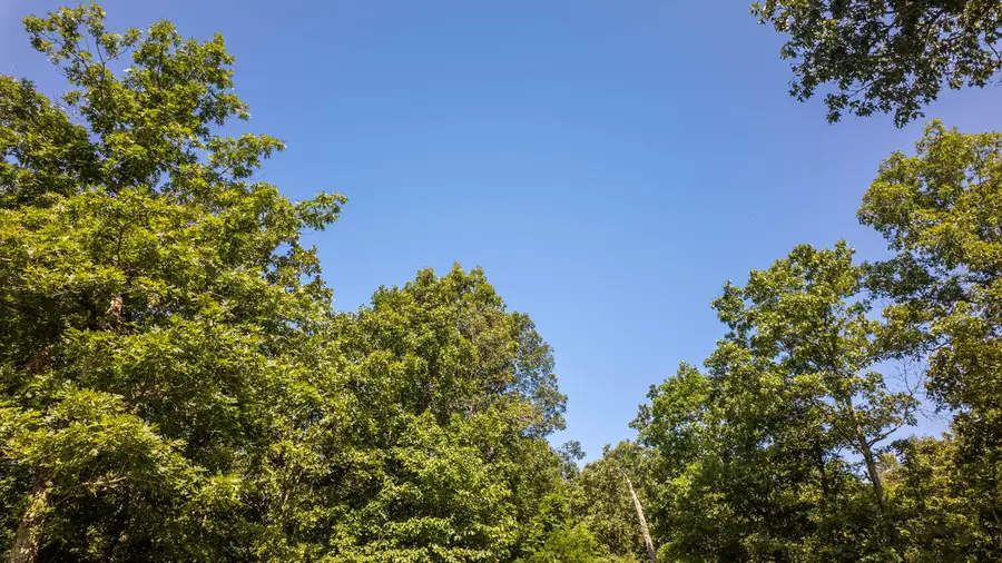 0 England Cemetery Trail, Mammoth Spring, AR 72554 - Image #3