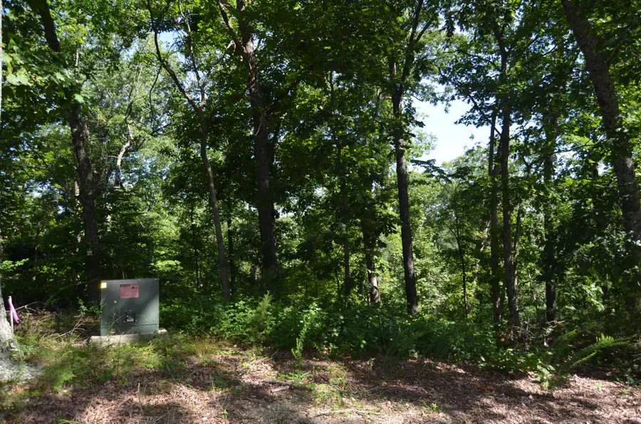 Lot 9 Cliffside Drive, Galena, MO 65656 - Image #2