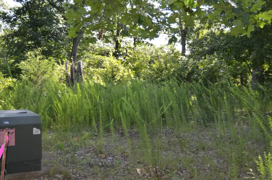 Lot 10 Cliffside Drive, Galena, MO 65656 - Image #2