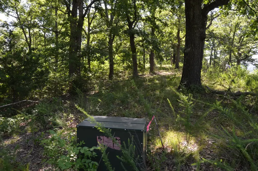 Lot 11 Cliffside Drive, Galena, MO 65656 - Image #2