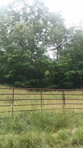 000 Farm Road 2085, Purdy, MO 65734 - Image #1