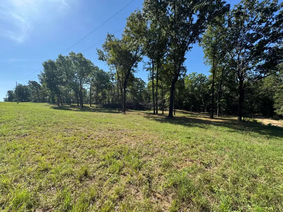 000 County Road 7550, Pottersville, MO 65790 - Image #2