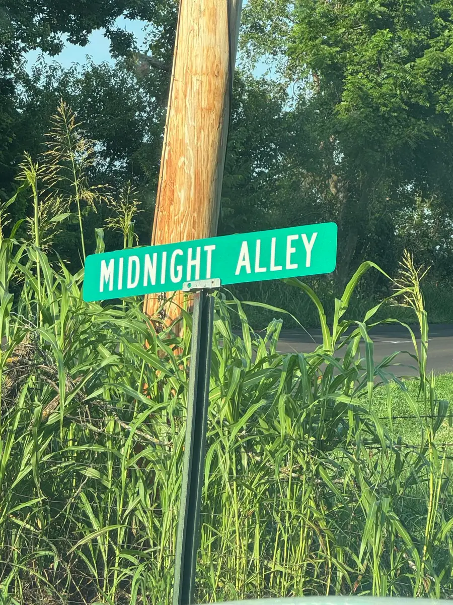 17664 W County Line Road, Billings, MO 65610 - Image #3