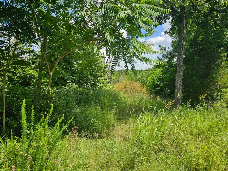 3486 N Farm Road 143, Springfield, MO 65803 - Image #3