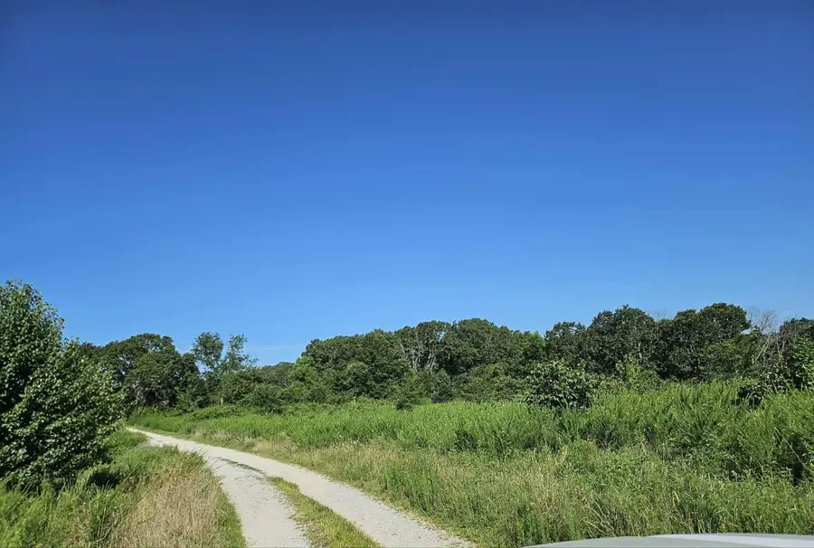 000 Tiki Trail Lots 3 & 4, Gainesville, MO 65655 - Image #2