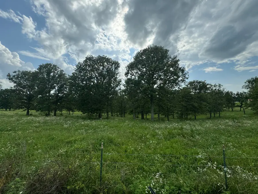 000 Near Se Corner Of Hwys 95 & 76, Vanzant, MO 65768 - Image #2