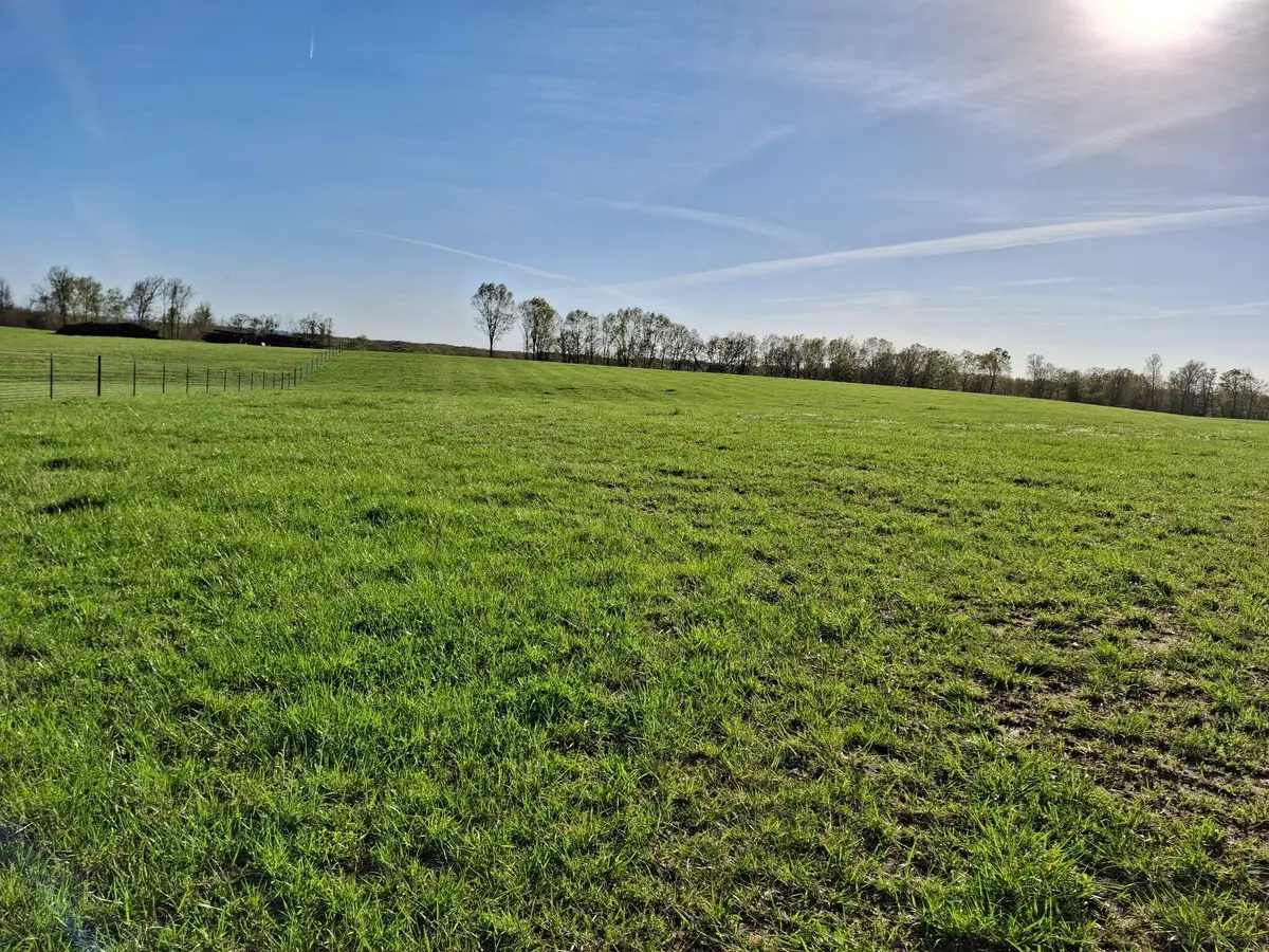 000 Hall Road, Macomb, MO 65702 - Image #1