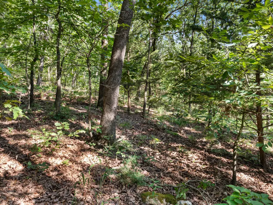 000 S 52nd Road, Humansville, MO 65674 - Image #3