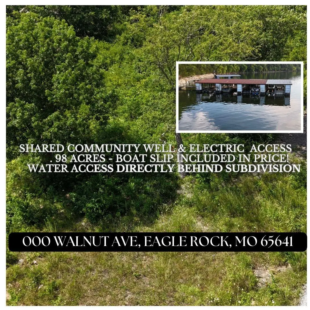 000 Walnut Drive, Eagle Rock, MO 65641 - Image #1