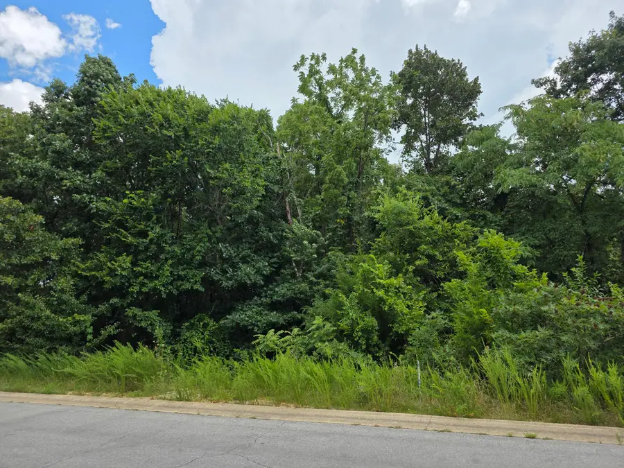 2006 Big Deer Run, West Plains, MO 65775 - Image #2