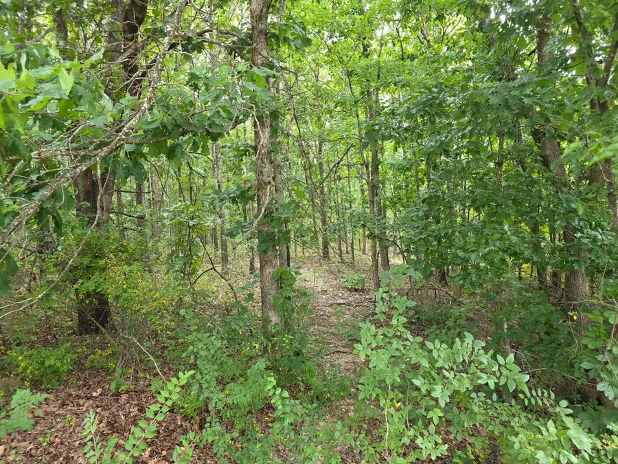 2006 Big Deer Run, West Plains, MO 65775 - Image #3