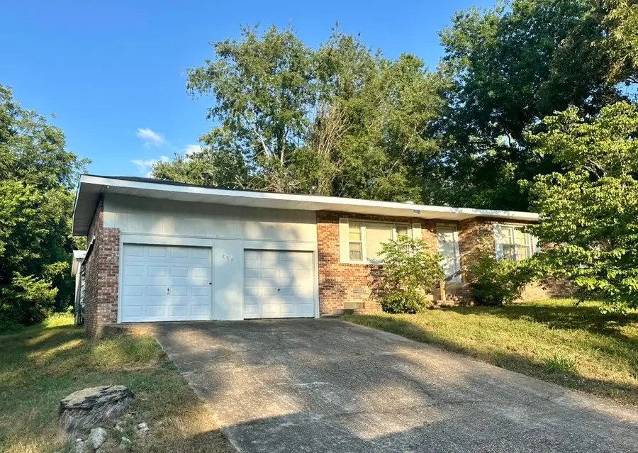 250 S 12th Street, Mammoth Spring, AR 72554 - Image #2