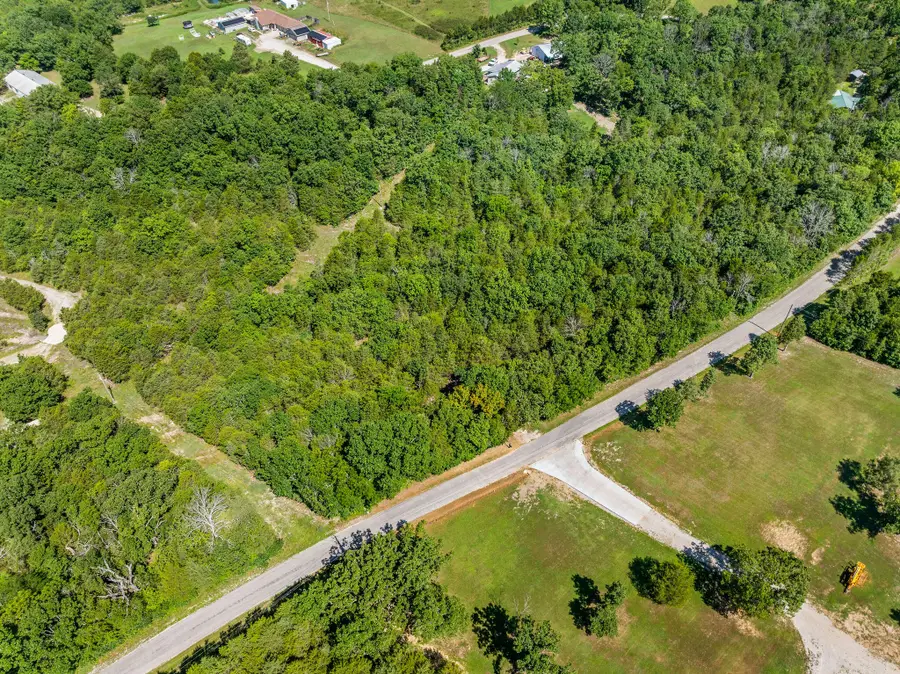 000 Newport Road, Walnut Shade, MO 65771 - Image #3