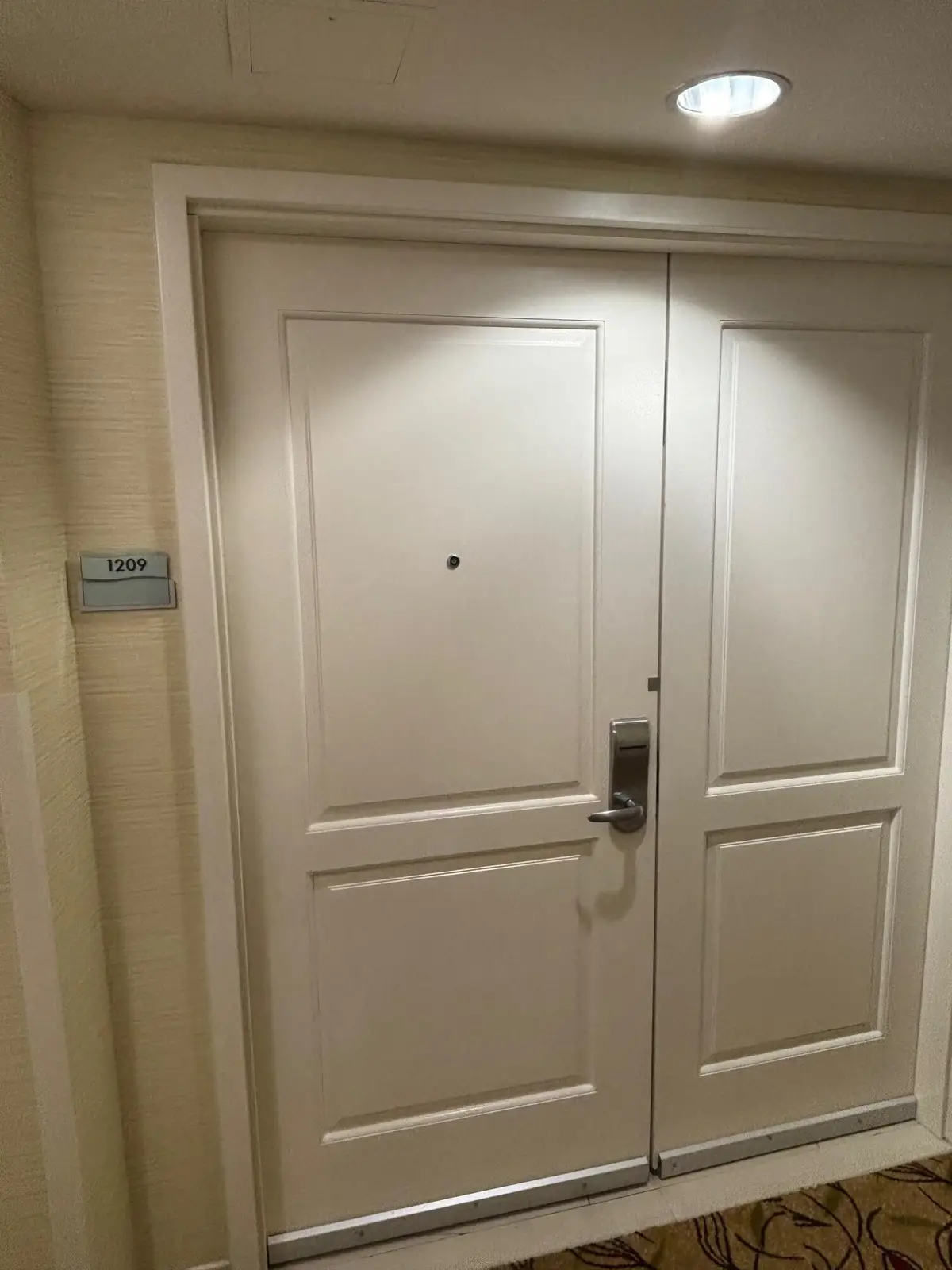 200 S Sycamore Street #1217, Branson, MO 65616 - #1