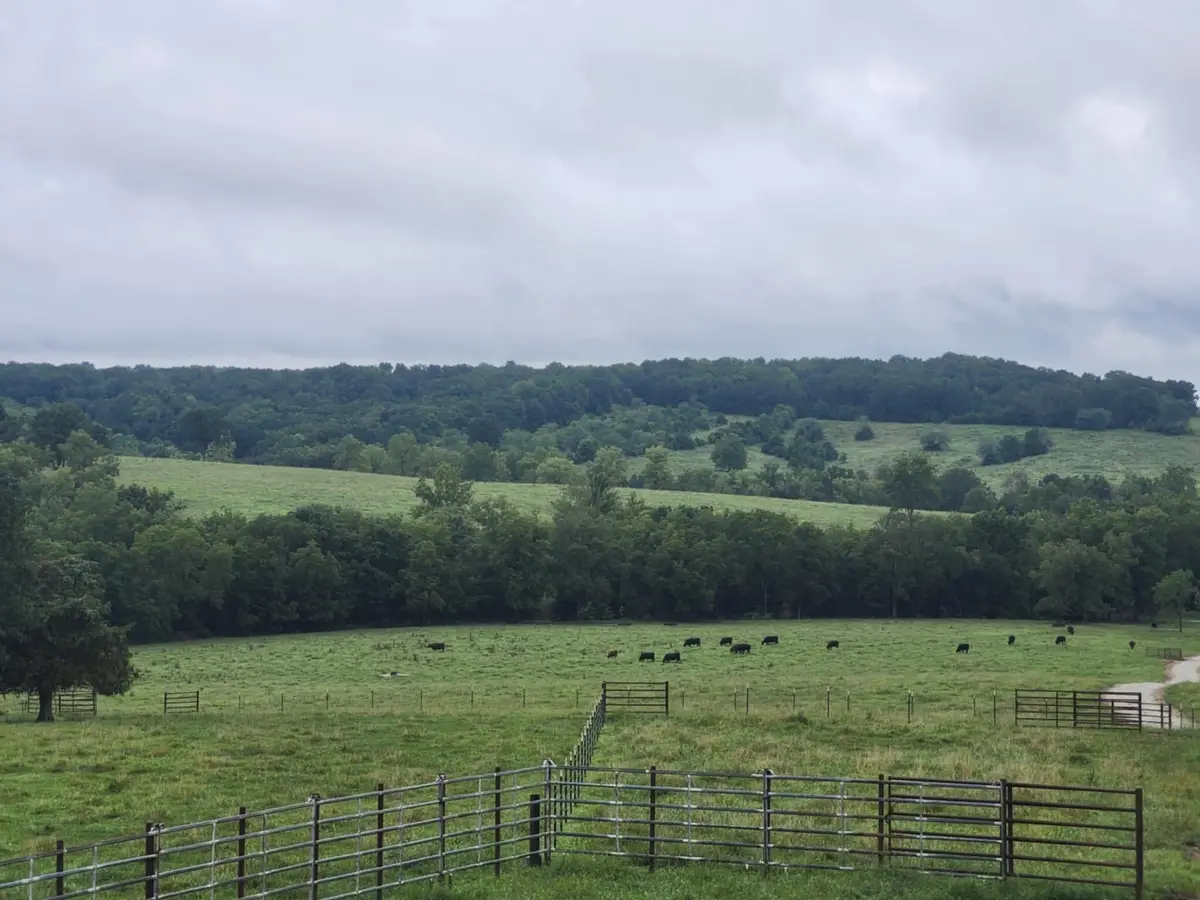 9551 C-highway Ff, Mountain Grove, MO 65711 - Image #1