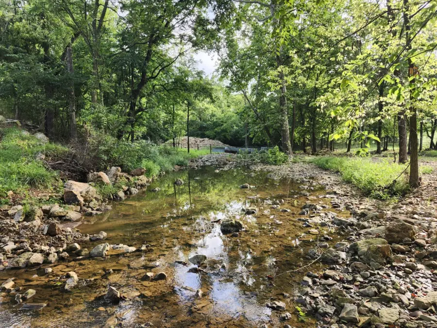 9551 C-highway Ff, Mountain Grove, MO 65711 - Image #3