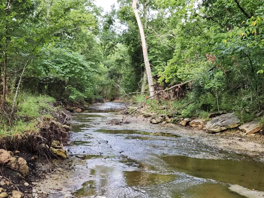 9551 C-highway Ff, Mountain Grove, MO 65711 - Image #2