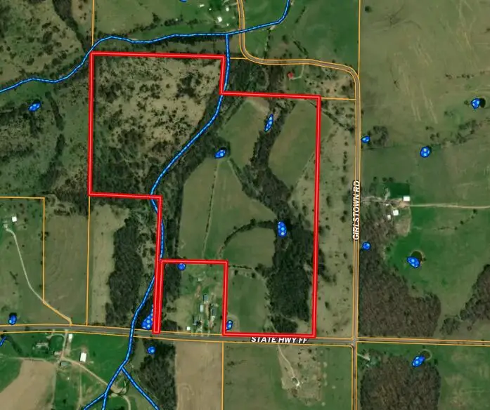 9551 C-highway Ff, Mountain Grove, MO 65711 - Image #3