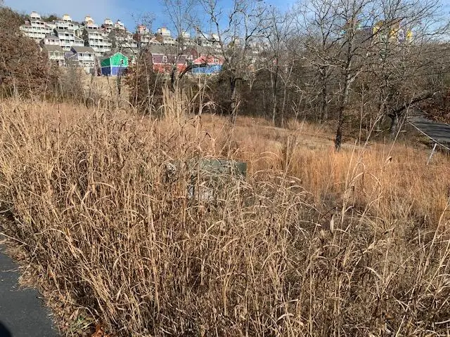 Lot 1 Cedar Landing Subdivision, Branson, MO 65616 - Image #2