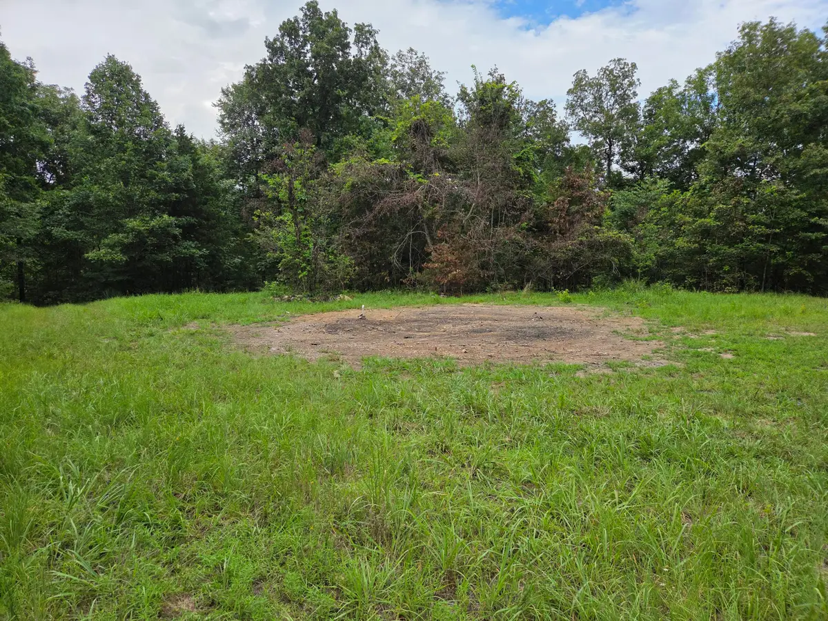 319a Lot 14 Millwood Acres, Tecumseh, MO 65760 - Image #1