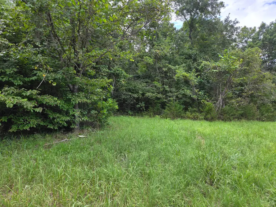 319a Lot 14 Millwood Acres, Tecumseh, MO 65760 - Image #3