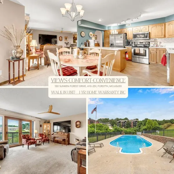 150 Sunken Forest Drive #10-251, Forsyth, MO 65653