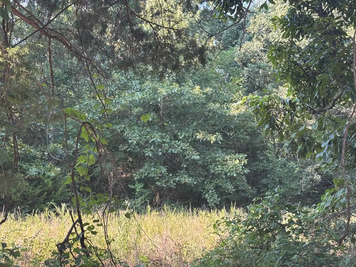 000 Lawrence 2100, Mount Vernon, MO 65712 - Image #1