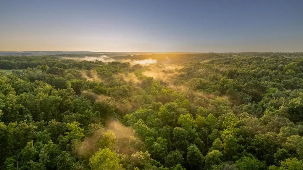 166 State Road P, Long Lane, MO 65590 - Image #1