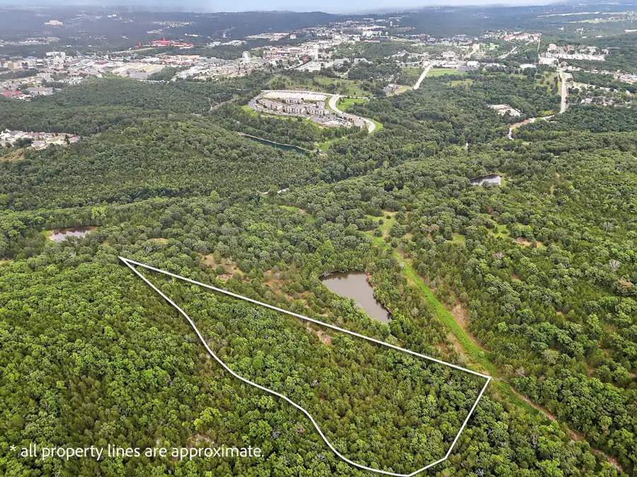 Tbd State Hwy 265, Branson, MO 65616 - #3