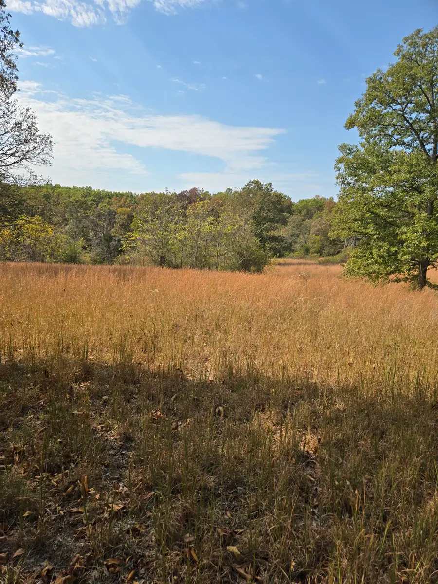 Lot 14 Arden Ridge, Hwy O, Ava, MO 65608 - Image #2