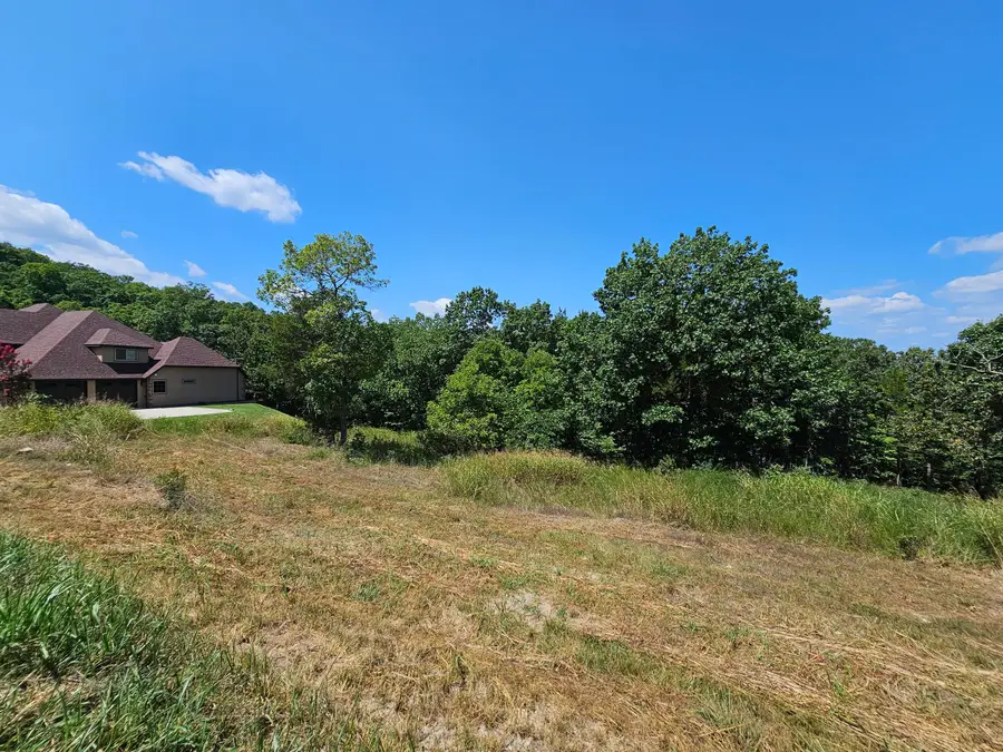 Lot 42 Valencia Court, Blue Eye, MO 65611 - Image #2